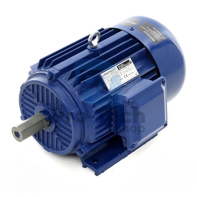 Elektromotor 3,0 kW 1420 U/min 380 V 10366